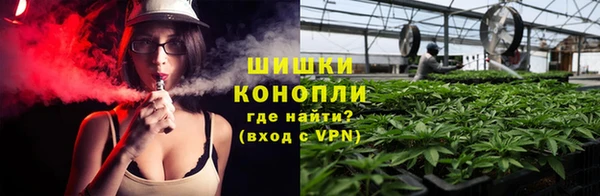 крисы Новокубанск