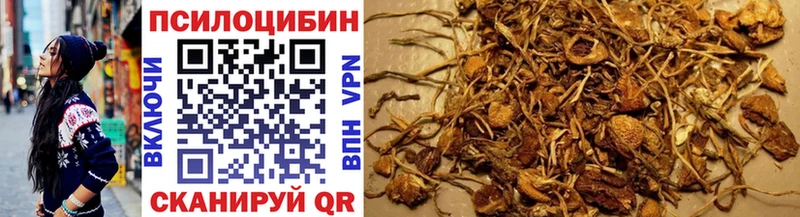 Галлюциногенные грибы прущие грибы  где найти   Ялуторовск 